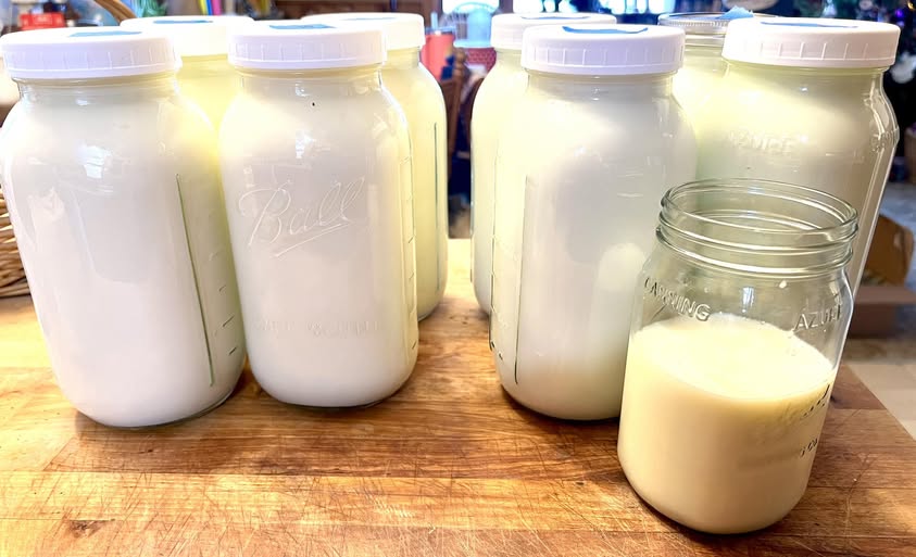 Raw milk jars